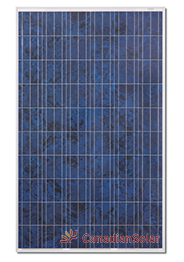 Canadian Solar CS6P 255P Solar Panel