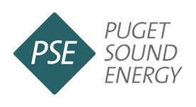 PSE Logo