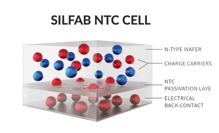 Silfab NTC N-type solar cells