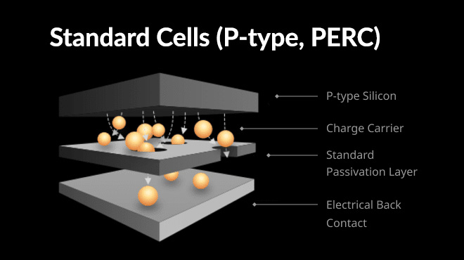 Standard P-Type Cells